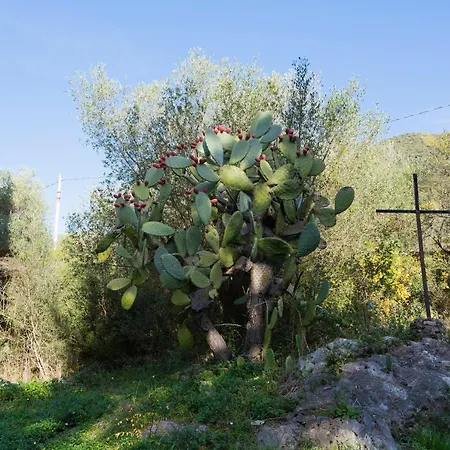 Ξενοδοχείο Convento Di Stignano *
